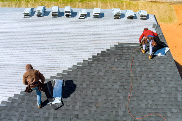 Best Storm Damage Roof Repair  in Roan Mountain, TN