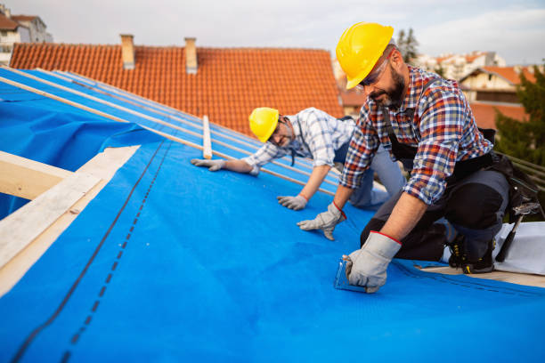 Best Roof Repair Specialists  in Roan Mountain, TN