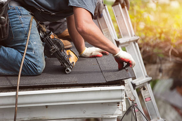 Professional Roofing Contractor in Roan Mountain, TN